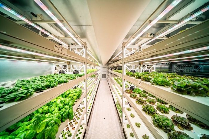 /media/22048/albert_zahradka