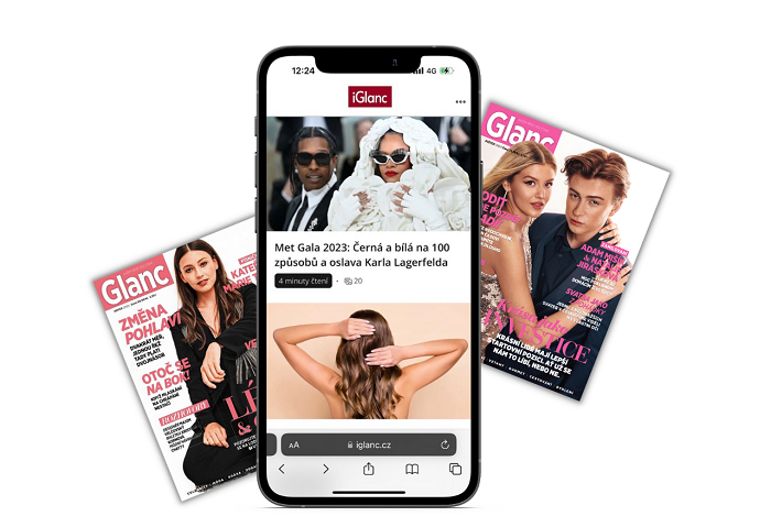 /media/24918/iglanc_vlm