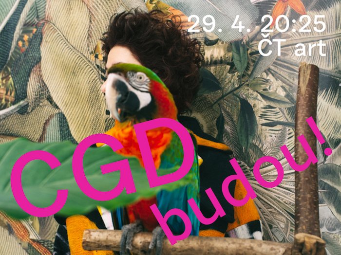 /media/12494/vizual-cgd-budou