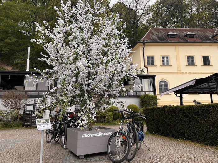 /media/24711/krusovice_bohemskatresen