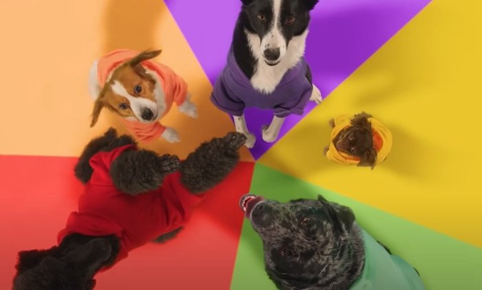 /media/ck2nu1c0/louie