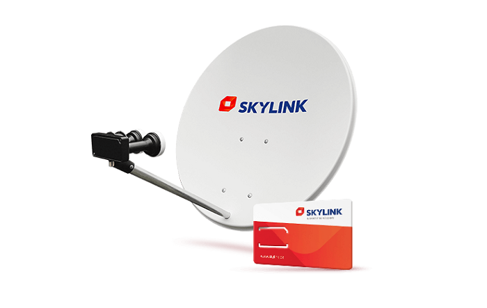 /media/5027/skylink_1