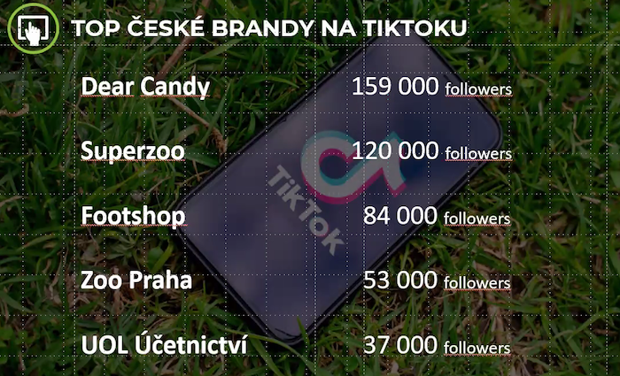 /media/20938/tiktok_brandy