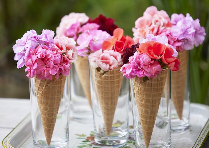 /media/25398/pelargonie_eu