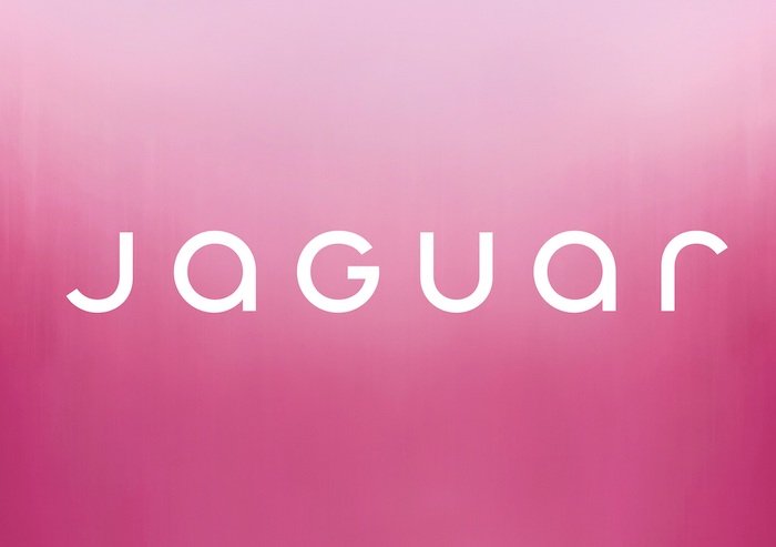 /media/ubsgccge/jaguar_newlogo
