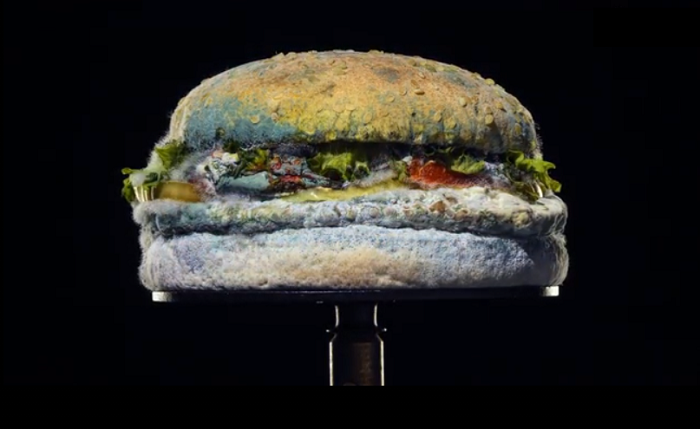 /media/15268/epica_whopper