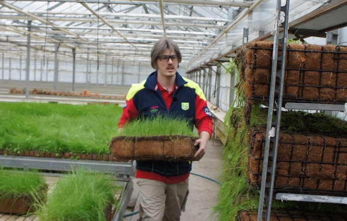 /media/16465/utajeny-s-e-f-2021