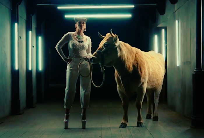 /media/16651/bigshockcoffee