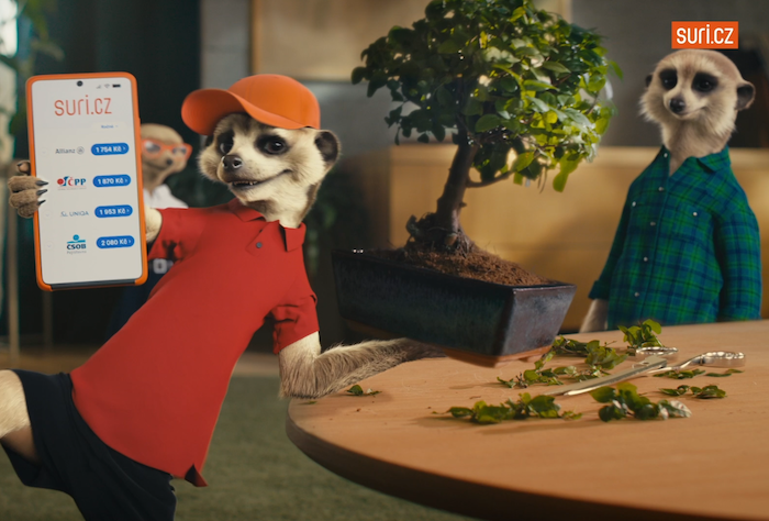 /media/f3df00jc/suri