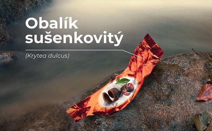 /media/8667/krnap_obalik-sušenkovitý