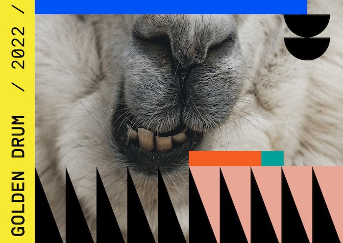 /media/19818/28gd_rebuilding-connection_2