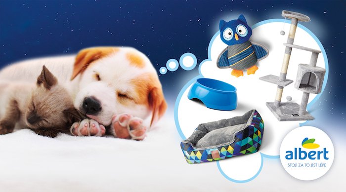 /media/21925/albert_domacimazlicci