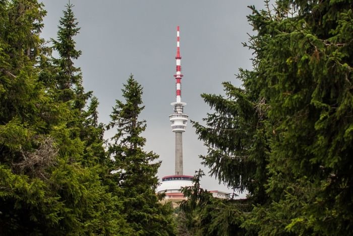 /media/25368/praděd_pixabay