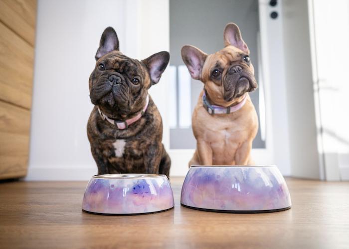 /media/ud4deami/superzoo_gump_limitovanaedice