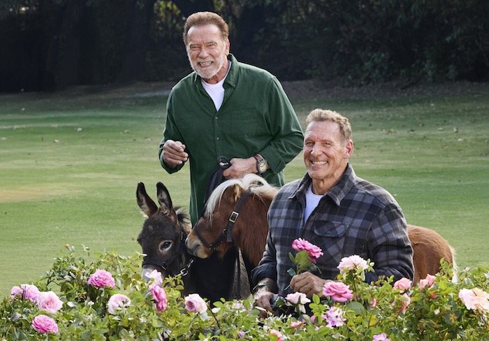 /media/pymj22jy/parkside