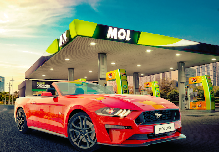 /media/17505/mol_evo