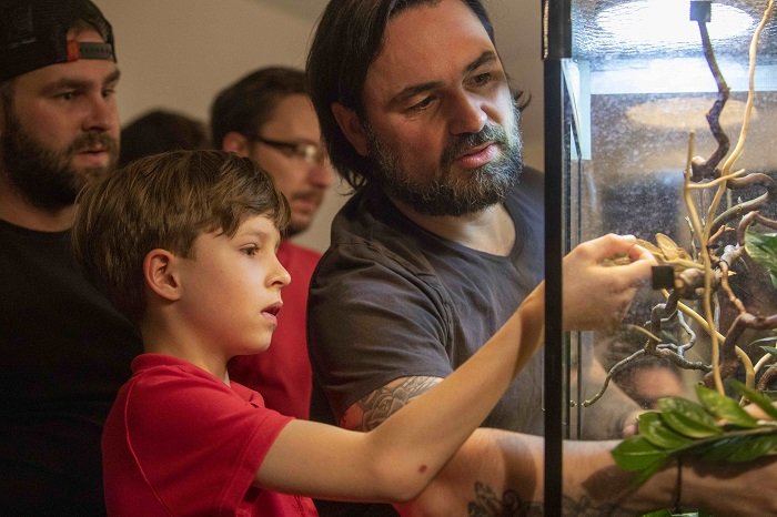 /media/20953/kukačky-ii-b-a-arichtev