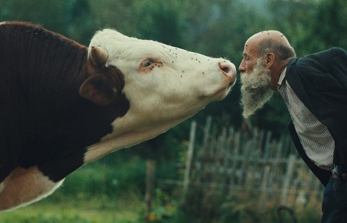 /media/gpmpz0zn/radeji-zesilet-v-divocine