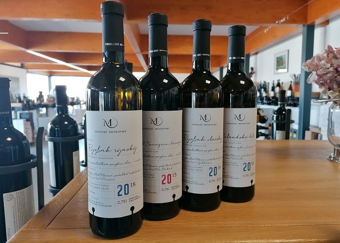 /media/16666/michlovský_globus