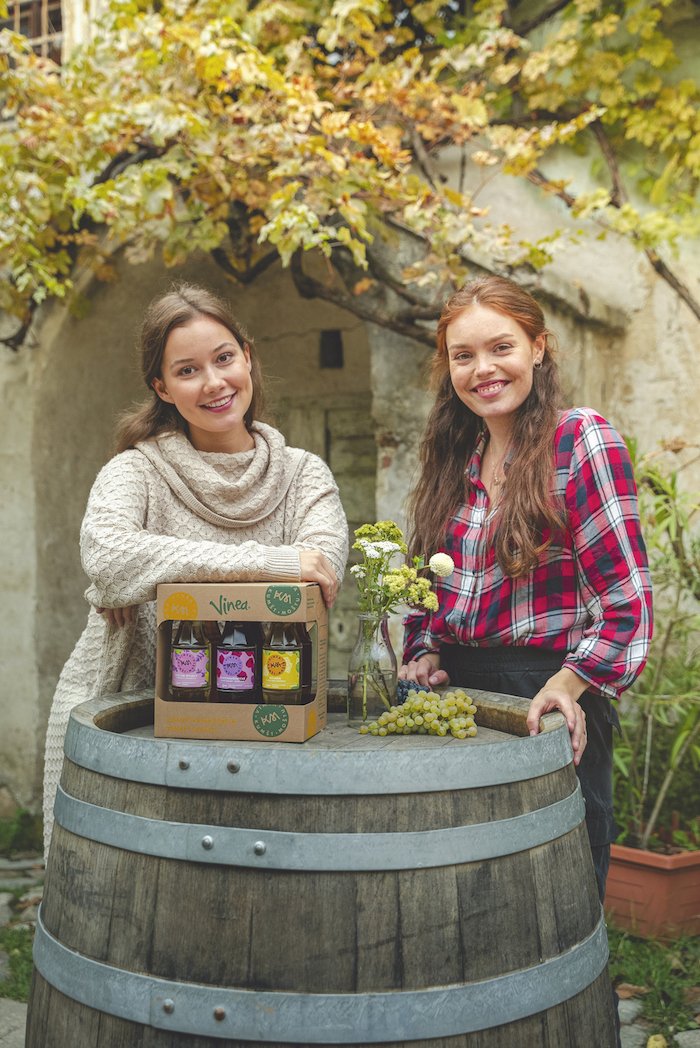 /media/19331/vinea_kumst-mostu_foto1_m