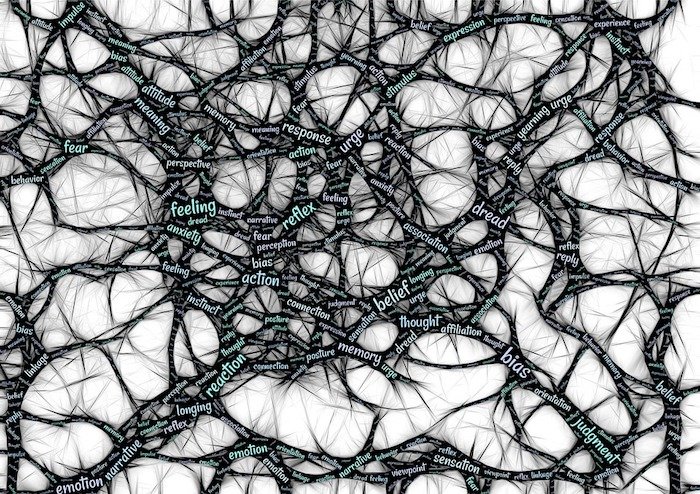 /media/10550/mindset_pixabay