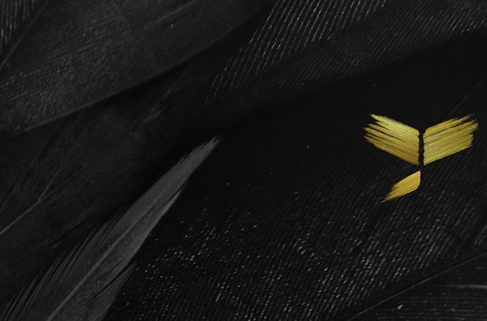 /media/16086/linkedin-uvodni-fotka