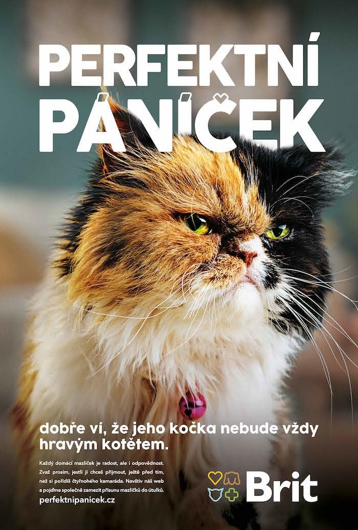 /media/14661/perfektní-páníček_vizuál-1