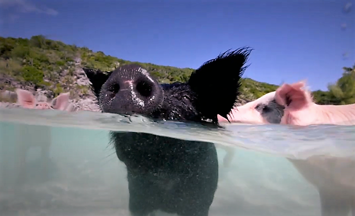 /media/15316/fio-banka