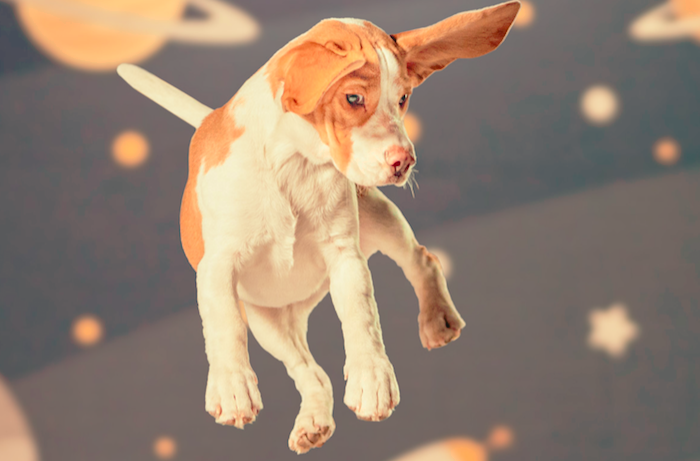 /media/20151/spokojenypes